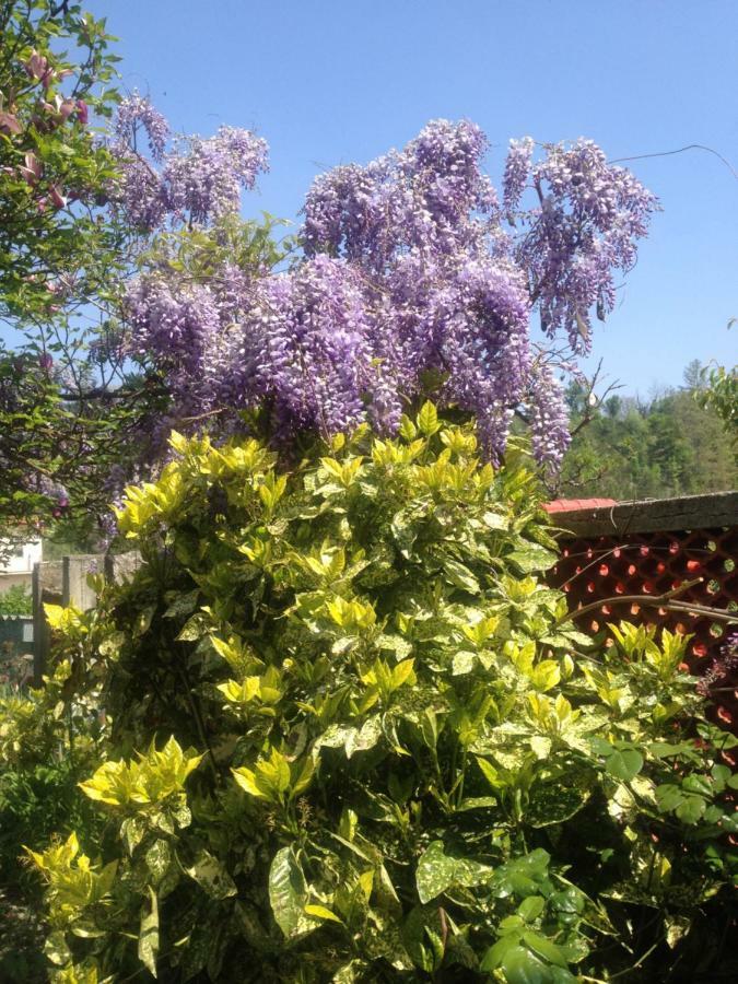 Holiday home Ca' Fiorita Acqui Terme